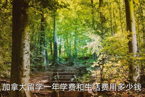 加拿大留学一年学费和生活费用多少钱