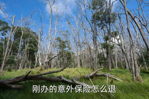 平安保险短期意外险怎么退，中国平安保险 意外险怎么撤保 网上操作