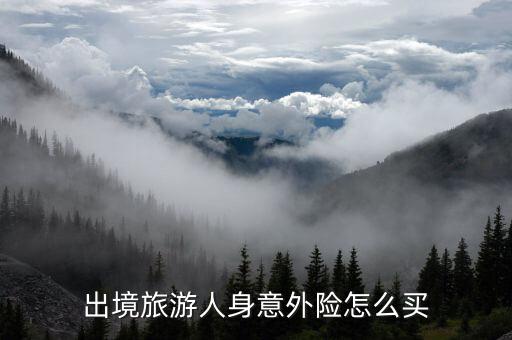 出境旅游人身意外险怎么买
