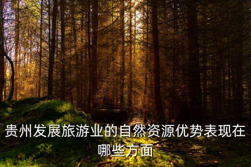 发展旅游业的资源优势，贵州发展旅游业的自然资源优势表现在哪些方面
