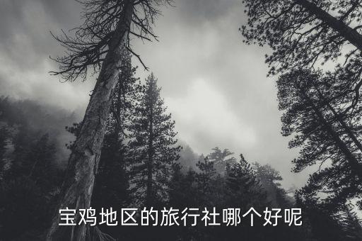 宝鸡地区的旅行社哪个好呢