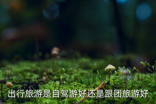 自驾游和跟团游哪个划算，出行旅游是自驾游好还是跟团旅游好