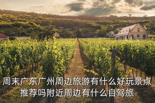 周末广东广州周边旅游有什么好玩景点推荐吗附近周边有什么自驾旅
