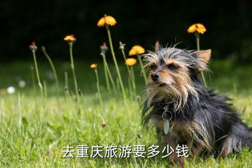 去重庆旅游要多少钱