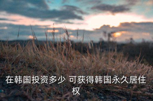 在韩国投资多少 可获得韩国永久居住权