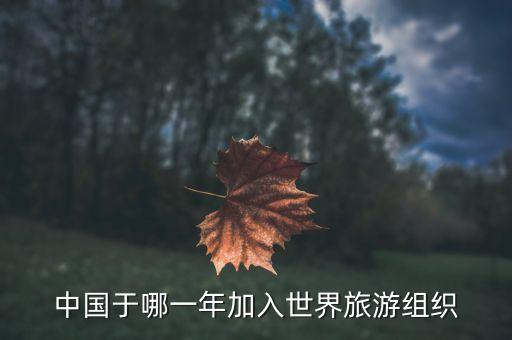中国于哪一年加入世界旅游组织