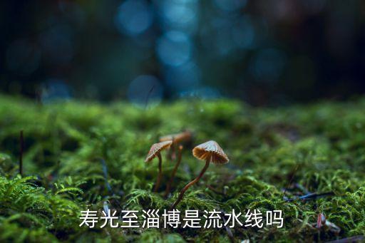 淄博五一客流量，寿光至淄博是流水线吗