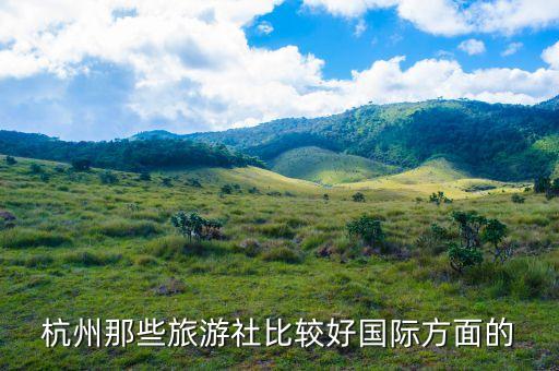 杭州哪个旅游团正规，姑姑想去国外旅游在杭州有什么好的靠谱的旅游团推荐一下哈多谢