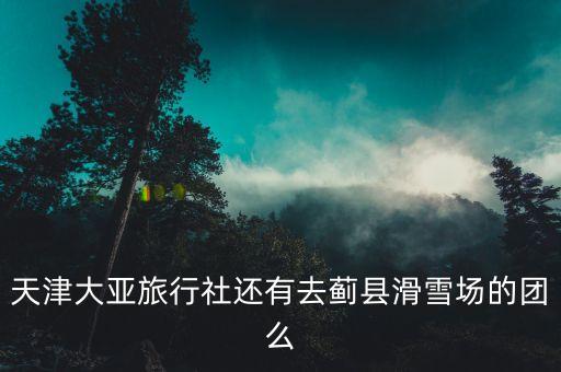 天津大亚旅行社还有去蓟县滑雪场的团么