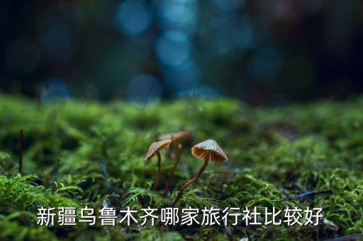 新疆中旅国际旅行社关亭，中国旅行社的位置