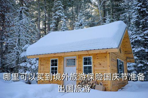 哪里可以买到境外旅游保险国庆节准备出国旅游