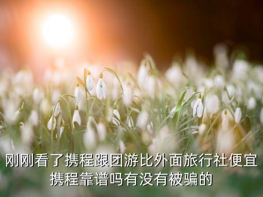 刚刚看了携程跟团游比外面旅行社便宜携程靠谱吗有没有被骗的