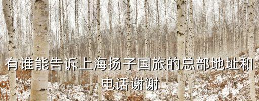有谁能告诉上海扬子国旅的总部地址和电话谢谢