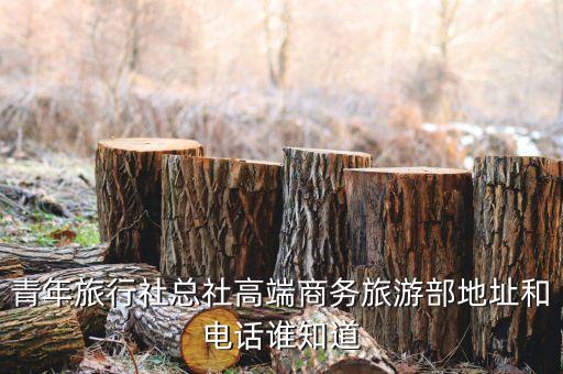 青年旅行社总社高端商务旅游部地址和电话谁知道