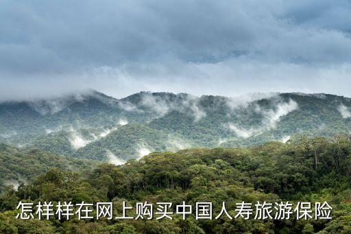 怎样样在网上购买中国人寿旅游保险