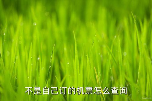 不是自己订的机票怎么查询，不是自己订的机票怎么查询