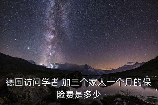 德国访问学者 加三个家人一个月的保险费是多少
