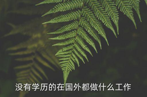 没有学历的在国外都做什么工作