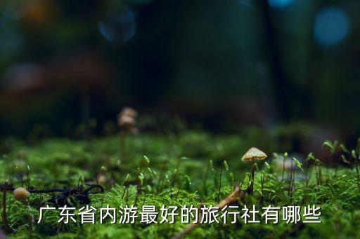 广东省内游最好的旅行社有哪些