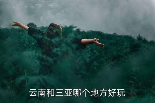 三亚和云南哪个地方好玩一点，云南和三亚哪个地方好玩