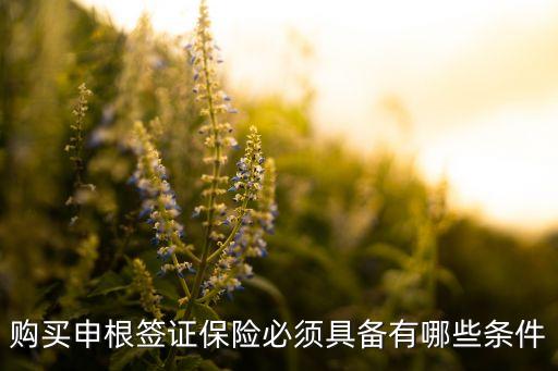 购买国际旅行保险的条件，第一次出国旅游购买签证险需要那些条件