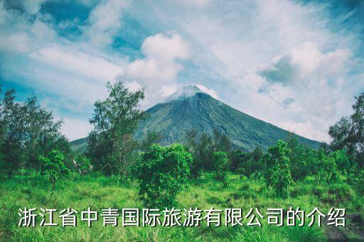 浙江省中青国际旅游有限公司的介绍