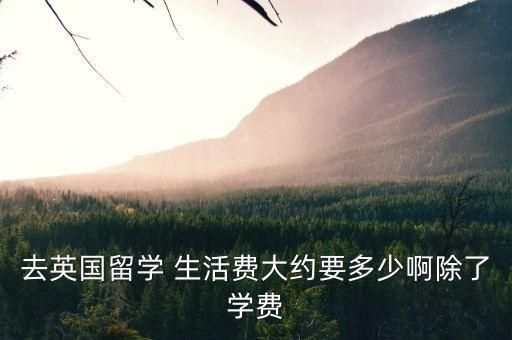去英国留学一个月生活费多少钱，进来说说在英国留学一个月的生活费大概是多少