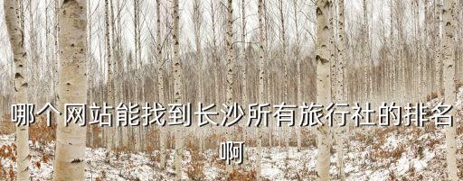 长沙正规的旅行社排名，长沙哪些旅行社好