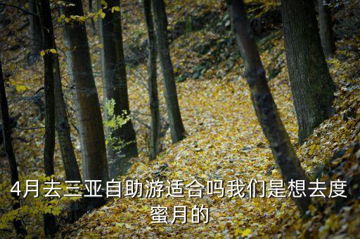 4月去三亚自助游适合吗我们是想去度蜜月的