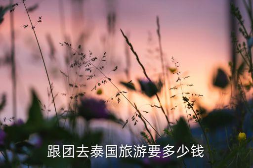 跟团去泰国旅游要多少钱