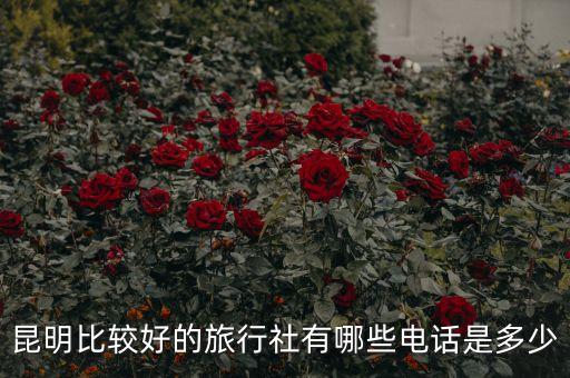 昆明比较好的旅行社有哪些电话是多少