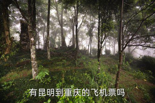 有昆明到重庆的飞机票吗