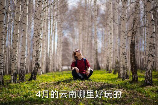 4月的云南哪里好玩的