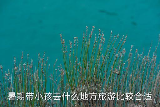 暑期带小孩去什么地方旅游比较合适
