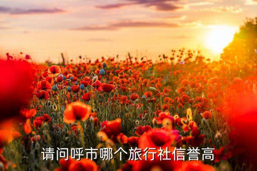 请问呼市哪个旅行社信誉高