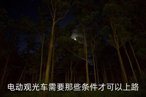 电动观光车需要那些条件才可以上路