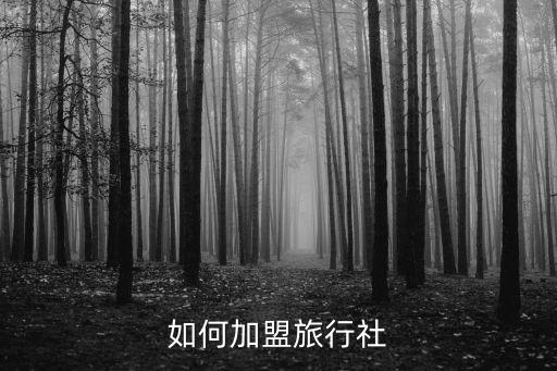 怎么加盟旅游门店代理，怎么加盟旅行社
