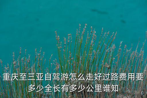 重庆至三亚自驾游怎么走好过路费用要多少全长有多少公里谁知
