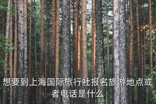 想要到上海国际旅行社报名旅游地点或者电话是什么