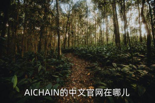 美亚保险官网中文版，AICHAIN的中文官网在哪儿