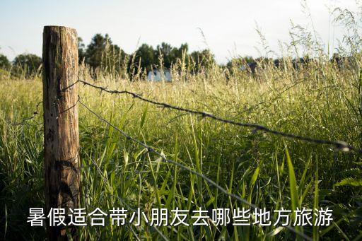 暑假适合带小学生去旅游的地方，暑假适合带小朋友去哪些地方旅游