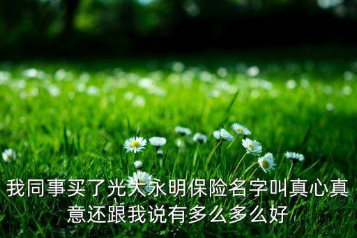 我同事买了光大永明保险名字叫真心真意还跟我说有多么多么好