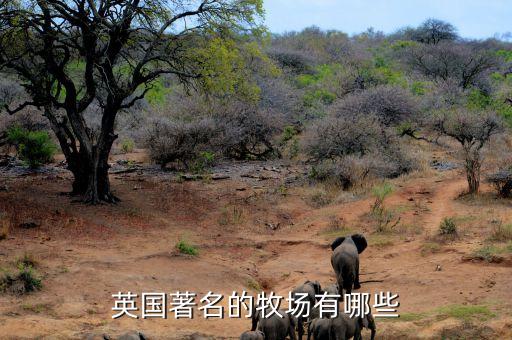 国外有哪些适合旅游的农场，国外最著名的牧场名叫什么
