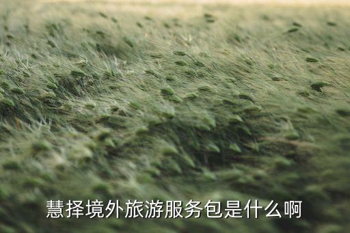 国外旅游服务包括哪些，出国游跟团游的团费费用包括了那些服务