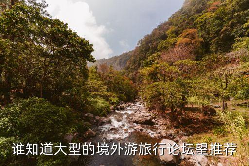 国外有哪些旅游火车论坛，谁知道大型的境外游旅行论坛望推荐