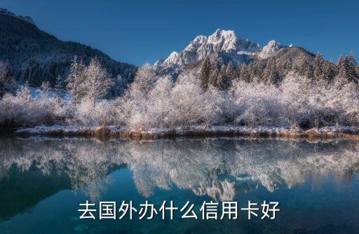 国外旅游申请什么卡，去国外办什么信用卡好