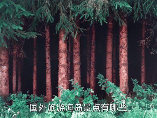 国外旅游哪里海鲜多，国外吃海鲜度假哪里好