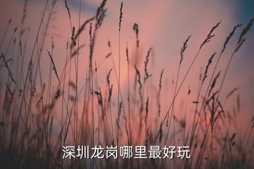 深圳龙岗哪里最好玩