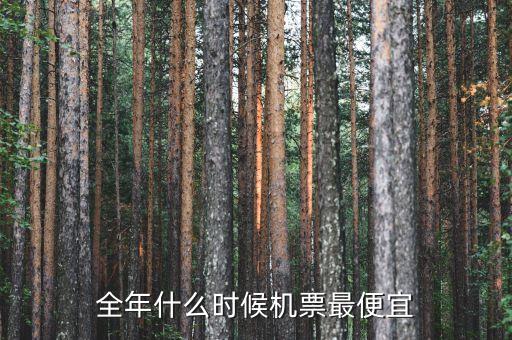 全年什么时候机票最便宜