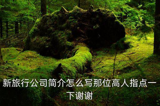 新旅行公司简介怎么写那位高人指点一下谢谢